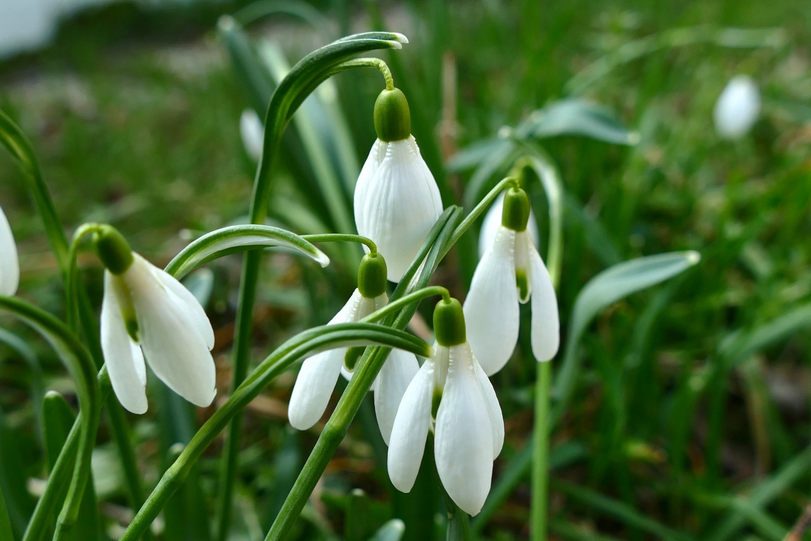 Es ist Frühling