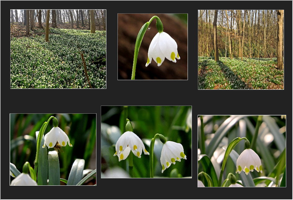 Es ist Frühling