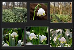 Es ist Frühling