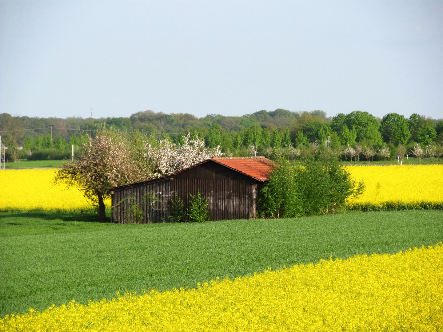 ... es ist Frühling...