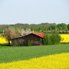 ... es ist Frühling...