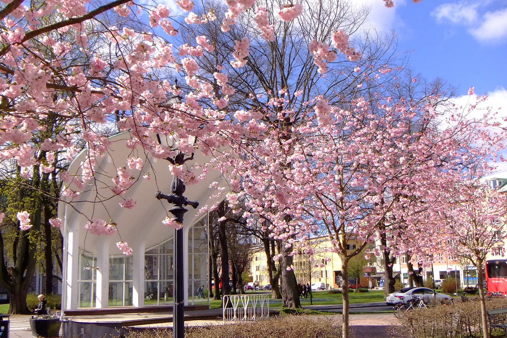 Es ist Frühling geworden