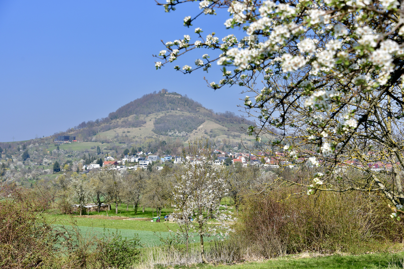 Es ist Frühling und alles blüht/Blick zum Reutlinger Hausberg "Achalm"