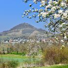 Es ist Frühling und alles blüht/Blick zum Reutlinger Hausberg "Achalm"