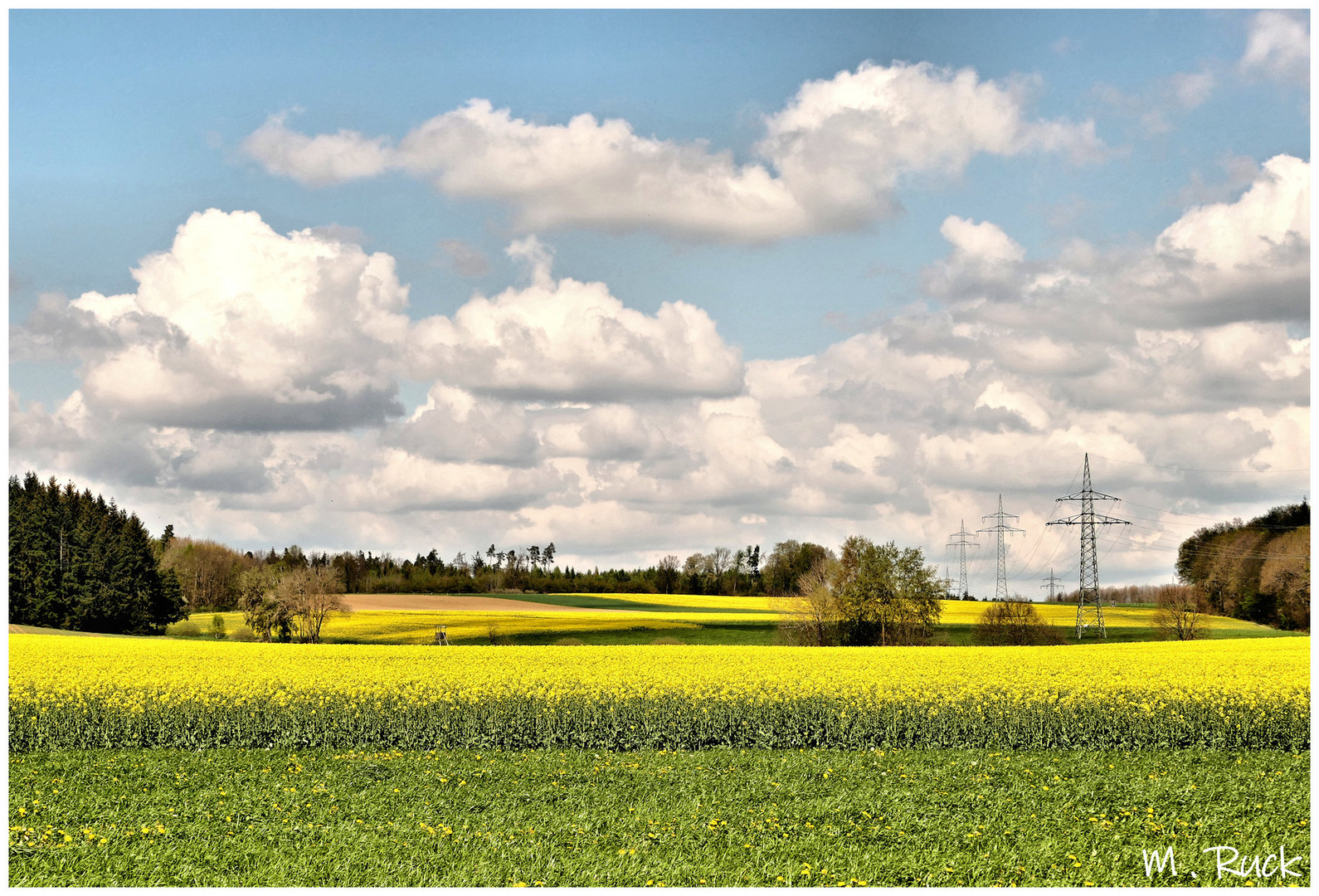 Es ist Frühling und der Raps blüht in den Landen 