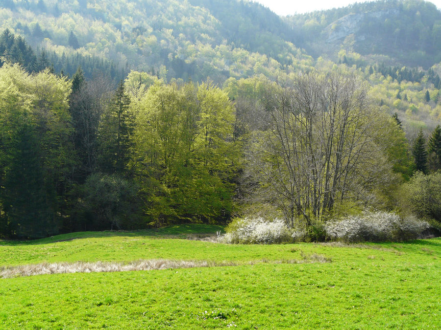 Es ist gerade Frühling geworden!