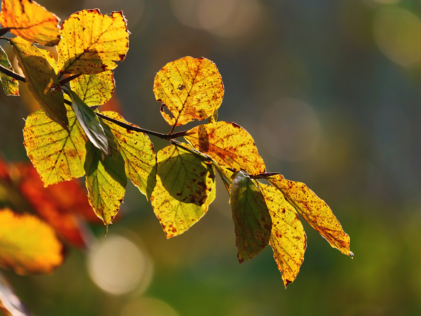 Es ist Herbst