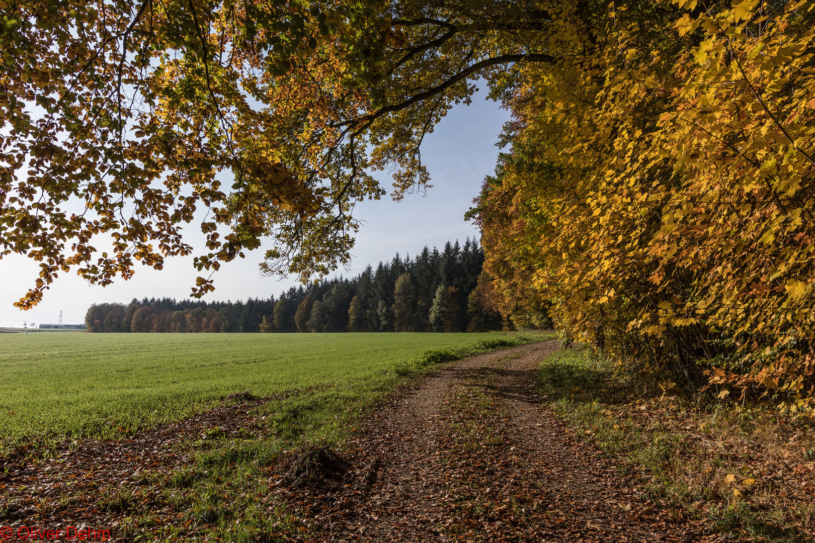 es ist Herbst