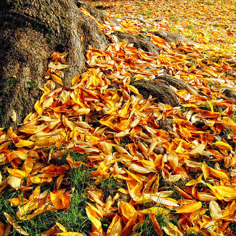 Es ist Herbst