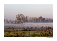 Es ist Herbst