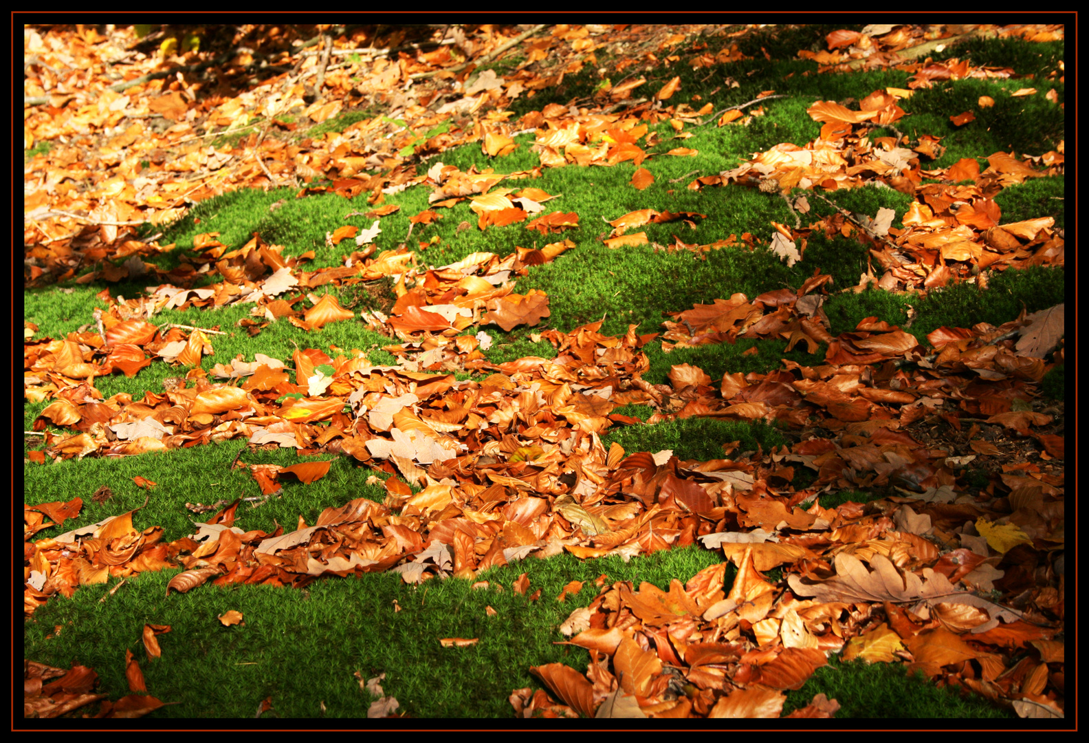 Es ist Herbst !