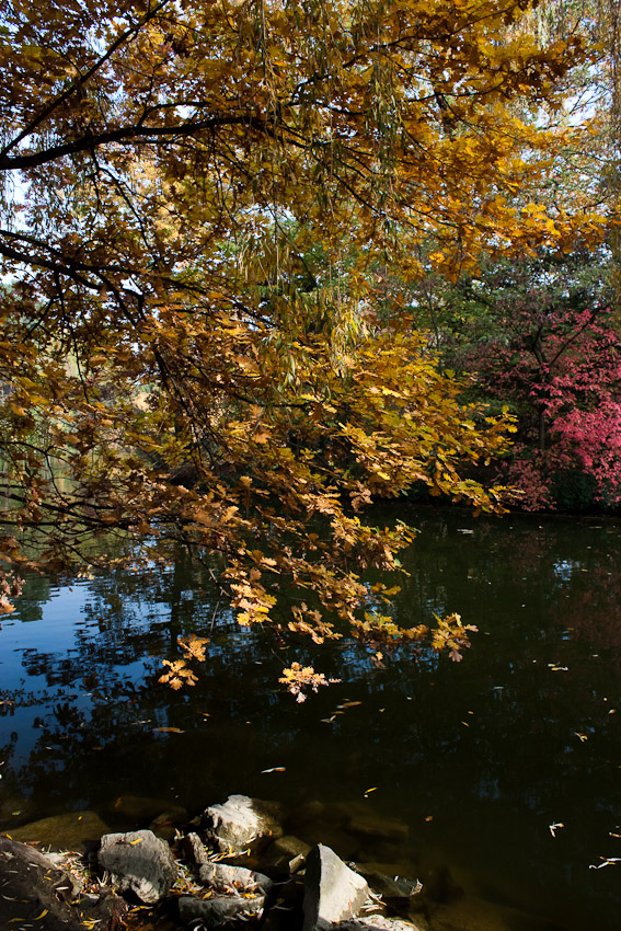 Es ist Herbst