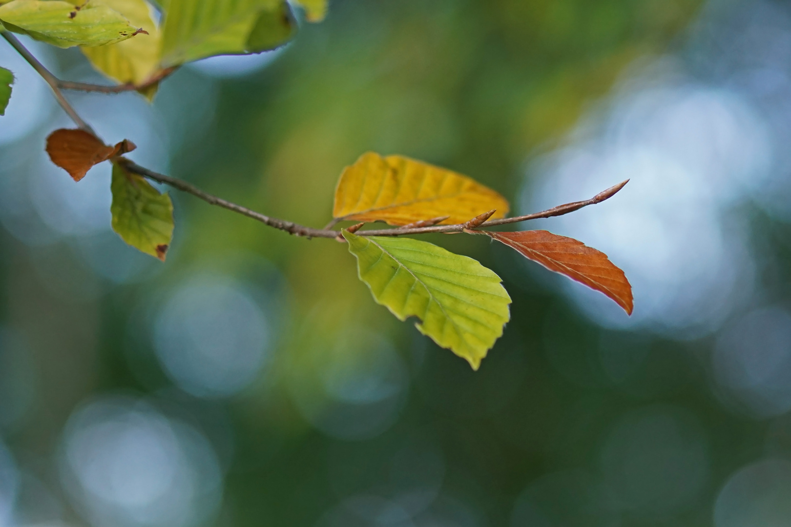 Es ist Herbst