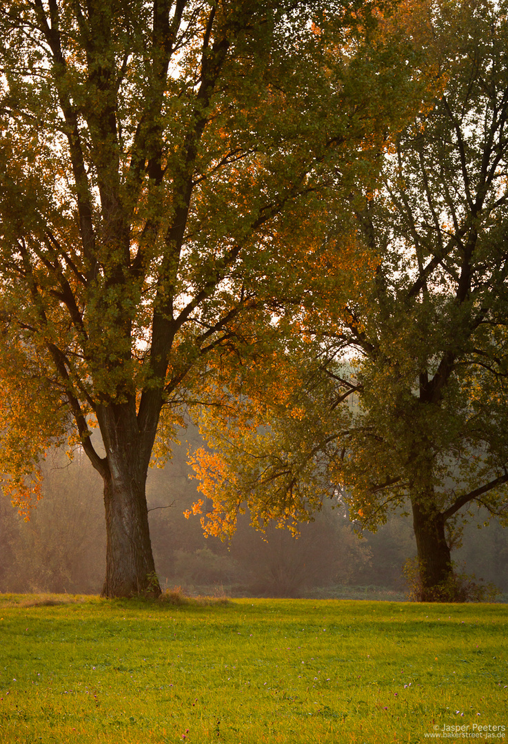 es ist herbst.