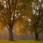 es ist herbst.