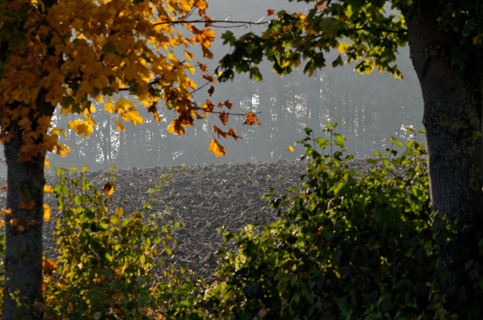 Es ist Herbst!