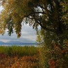 Es ist Herbst am Chiemsee