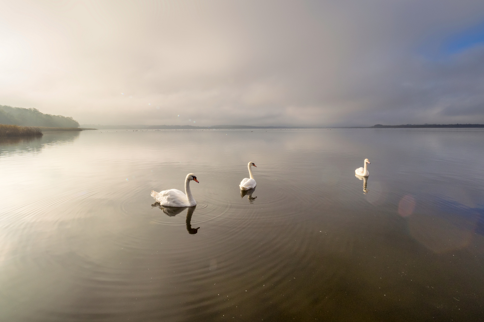 Es ist Herbst auf dem Blankensee