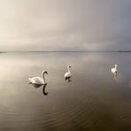 Es ist Herbst auf dem Blankensee