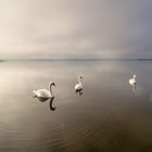 Es ist Herbst auf dem Blankensee