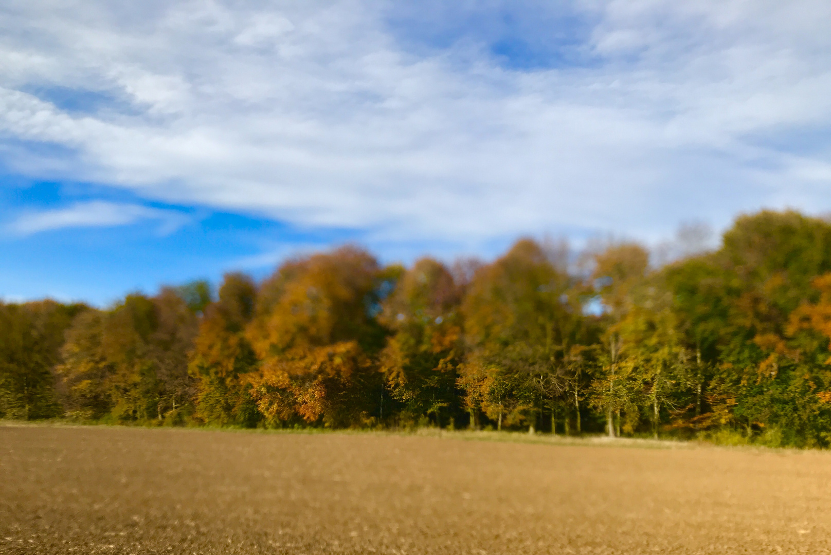 es ist Herbst auf der schwäbischen Alb