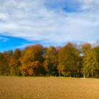 es ist Herbst auf der schwäbischen Alb