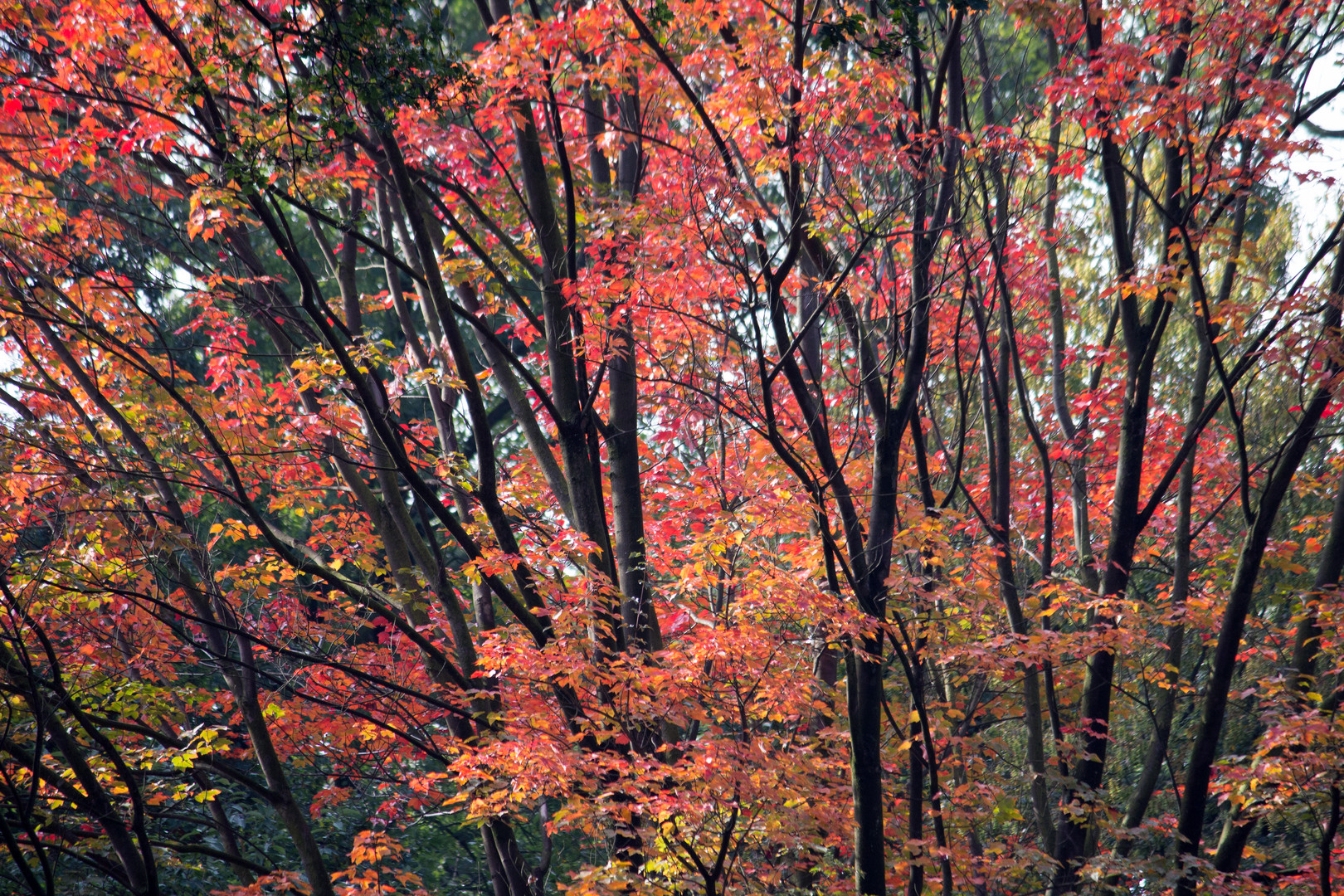 Es ist Herbst