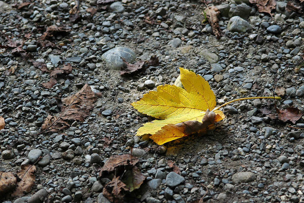 Es ist Herbst!