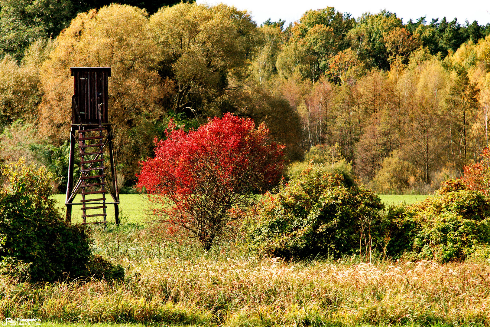 Es ist Herbst