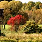 Es ist Herbst