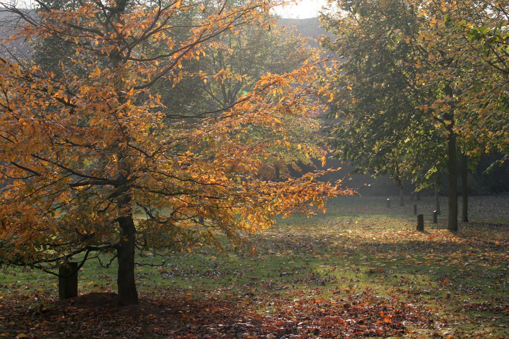 es ist Herbst...