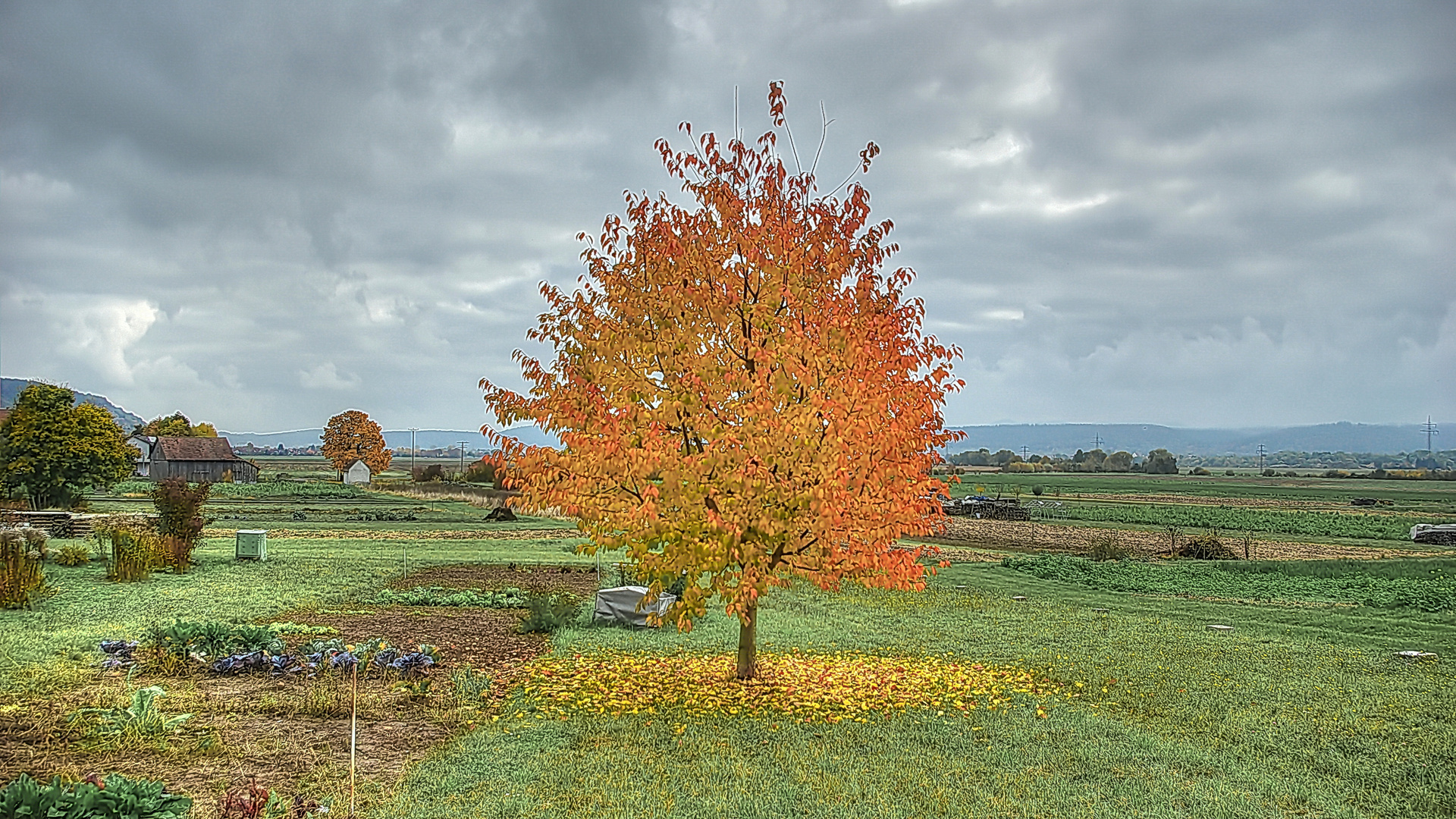 Es ist Herbst