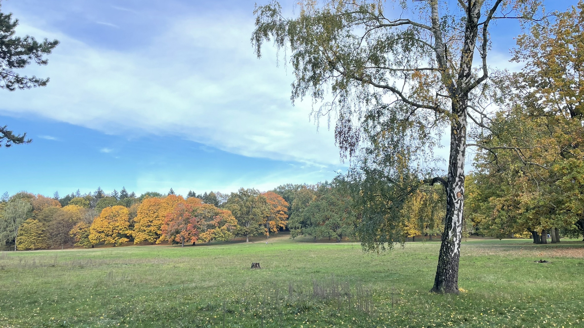 Es ist Herbst