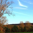 Es ist Herbst - die Farben leuchten