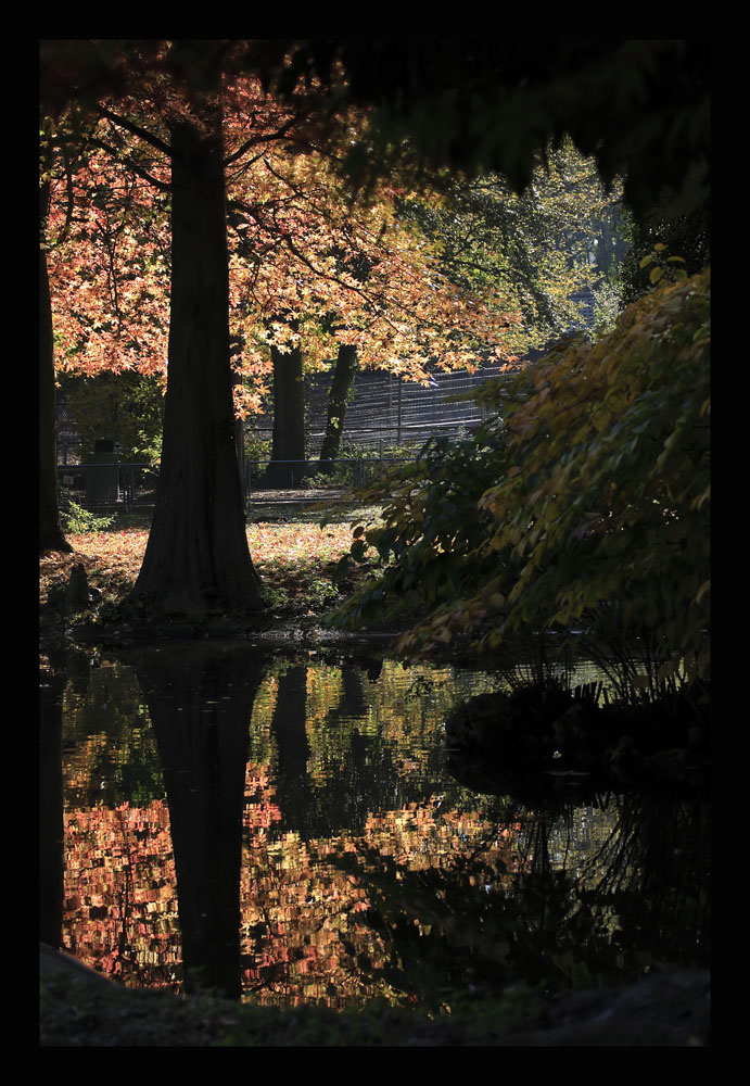 Es ist Herbst ...