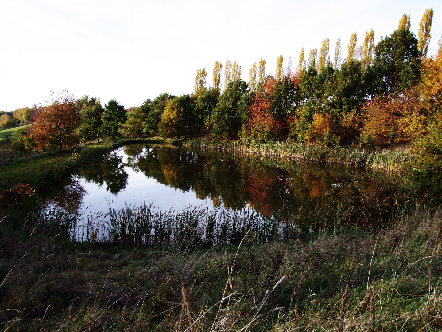 Es ist Herbst geworden