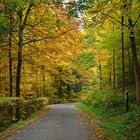 Es ist Herbst im Solchbachtal