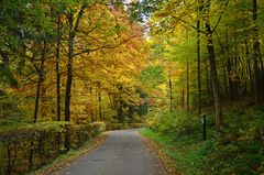 Es ist Herbst im Solchbachtal