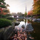 Es ist Herbst in Hamburg | Planten un Blomen