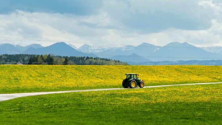 Es ist herrlich, anderen Leuten bei der Arbeit zuzusehen! ;)