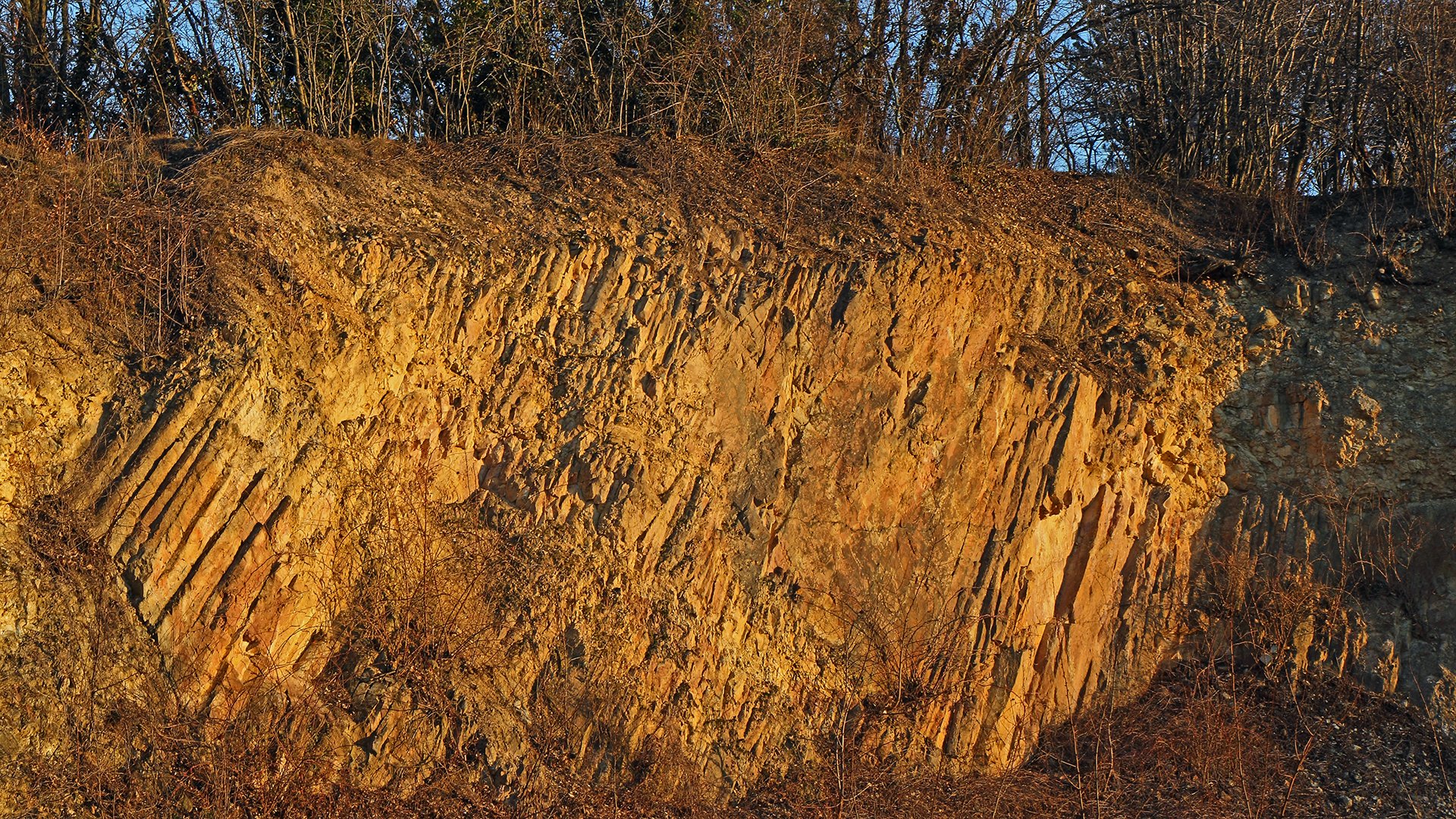 Es Ist Hier Naturlich Kein Sandstein Sondern R H Y O L I T H A R T L I N G Foto Bild Freistaat Sachsen Dohna Flachennaturdenkmal Bilder Auf Fotocommunity