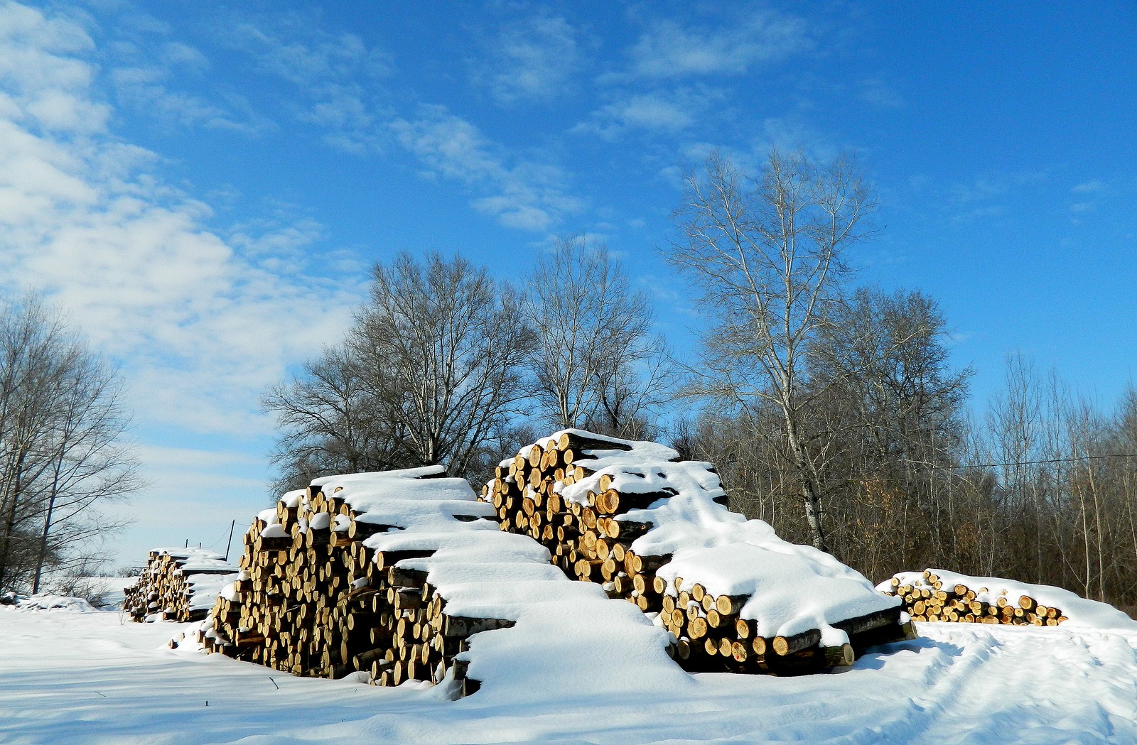 Es ist immer noch Winter