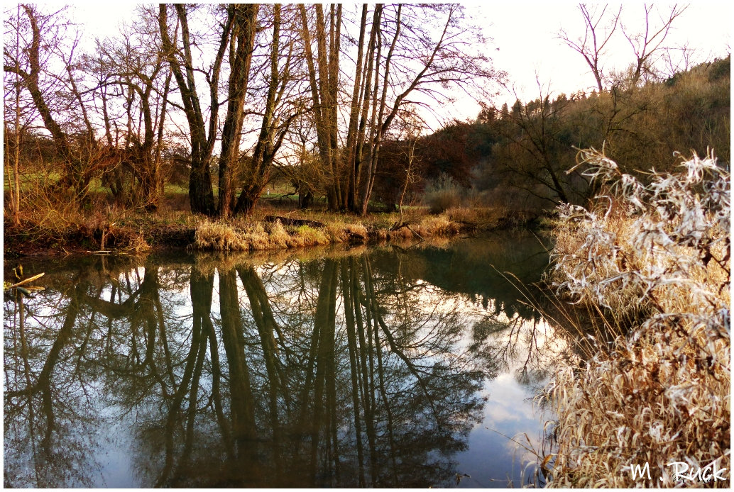 Es ist Januar und auch wieder Frühlingshaft in der Natur 