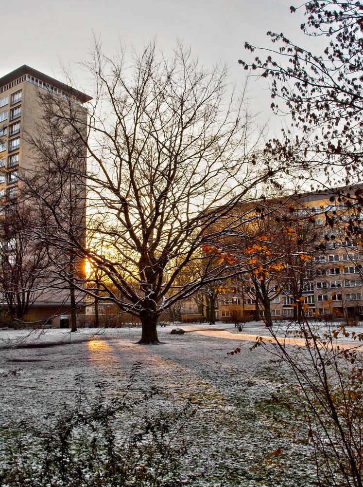 Es ist kalt da draußen von olinski 