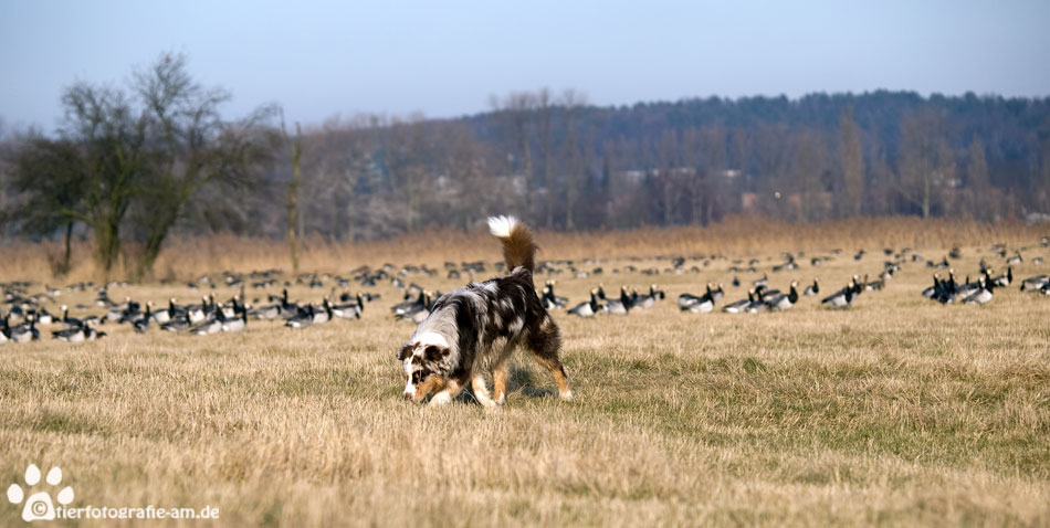 Es ist keine Fotomontage...