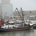 Es ist nasskalt im Fischereihafen von Büsum