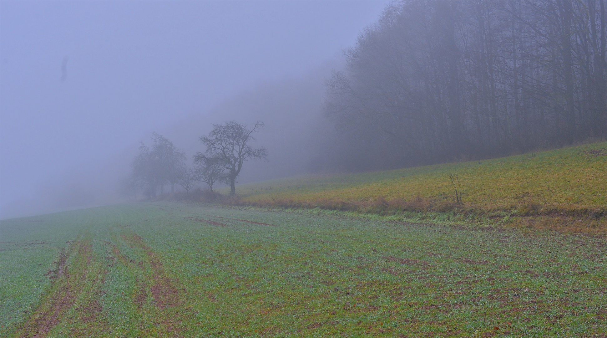 es ist neblig (hace niebla)