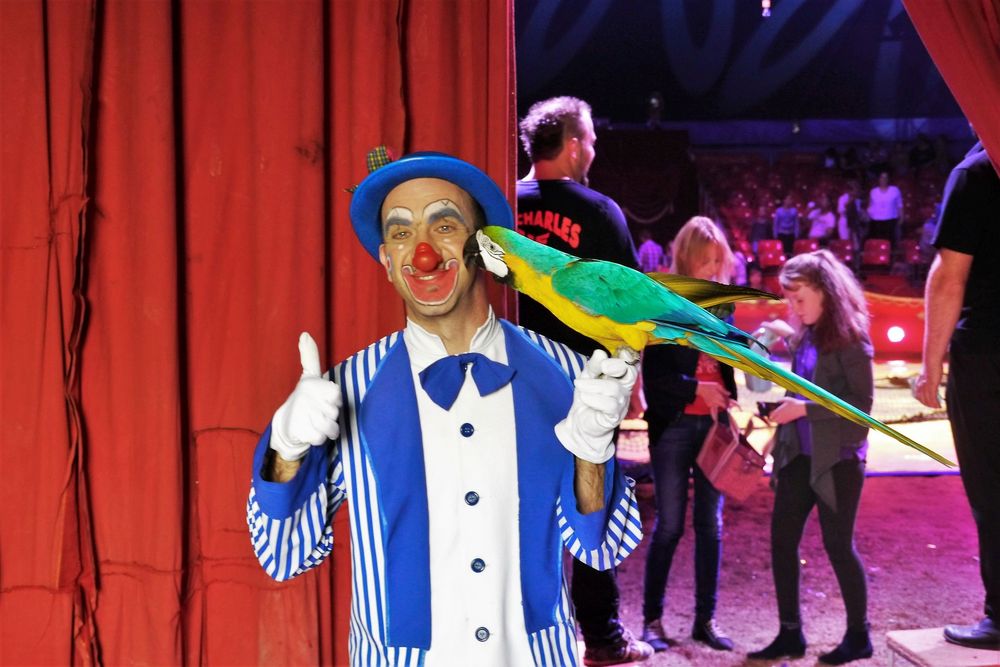 Es ist nicht leicht ein Clown zu sein....