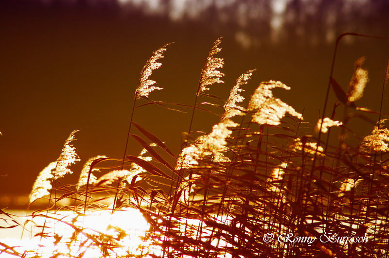 Es ist noch Sommer ?