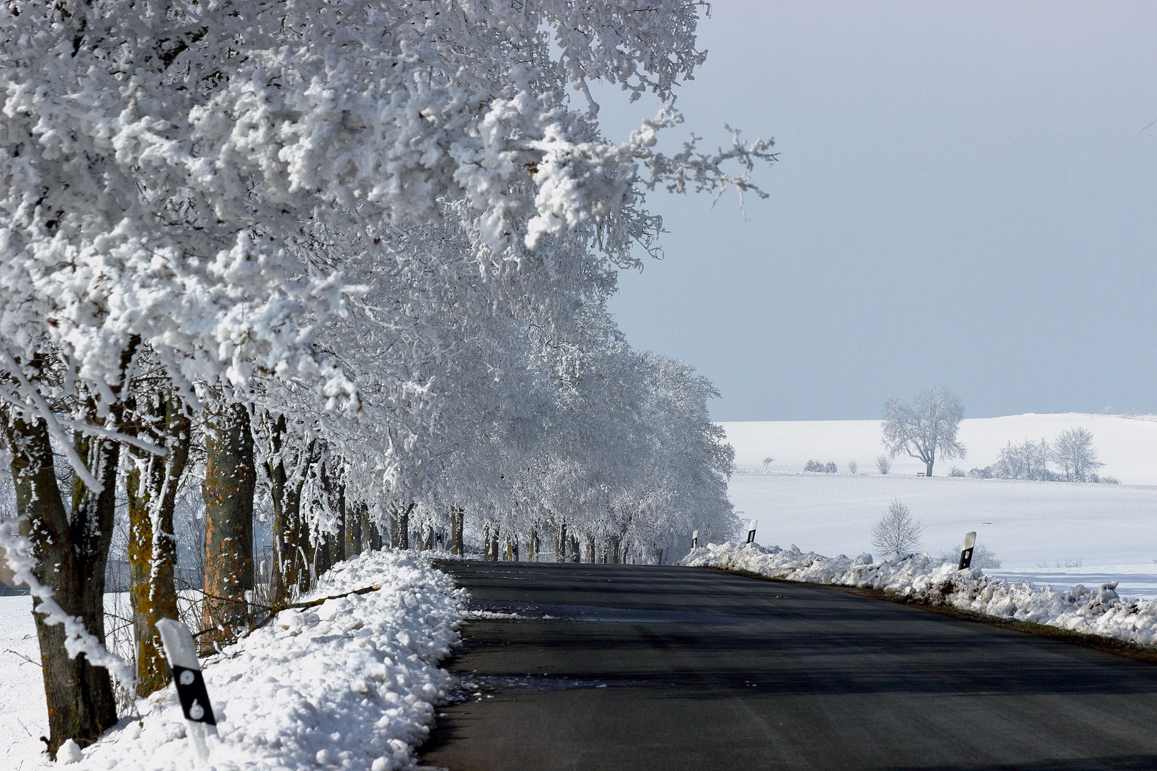 Es ist noch Winter